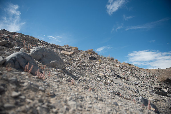 Scout-1558 Scout-1558