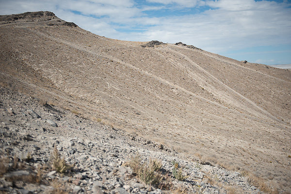 Scout-1548 Scout-1548