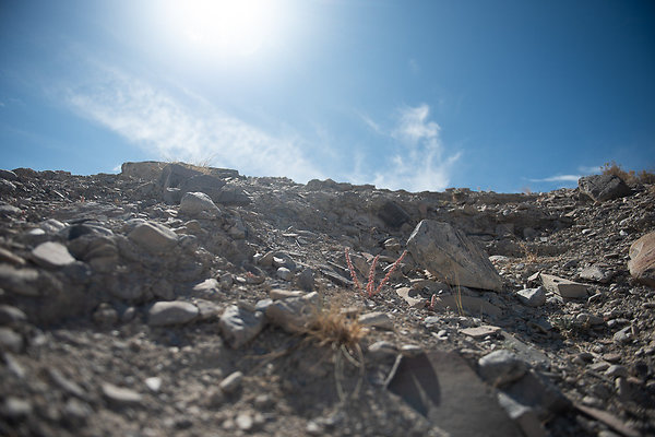 Scout-1562 Scout-1562