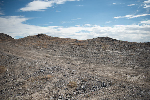 Scout-1574 Scout-1574