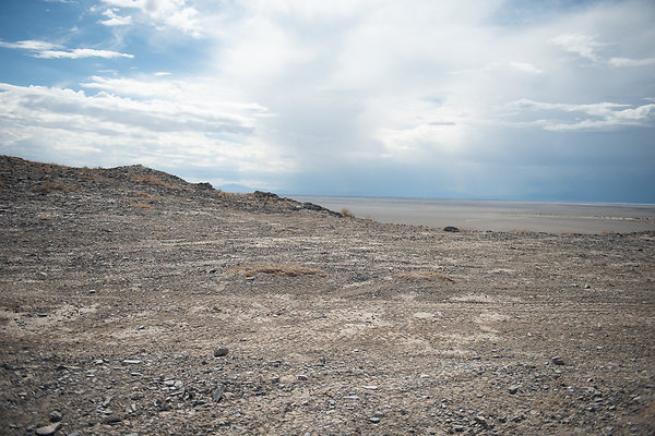 Scout-1575 Scout-1575