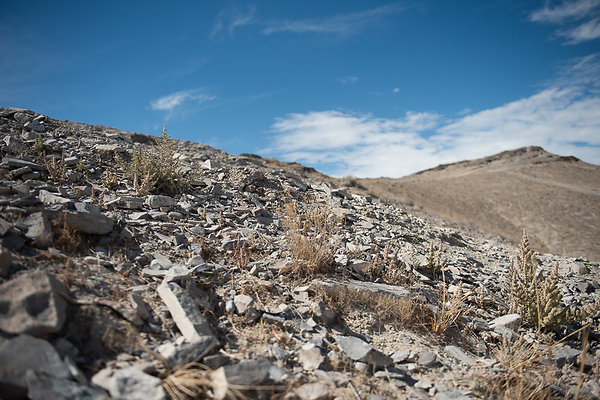 Scout-1551 Scout-1551