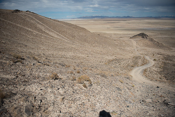 Scout-1565 Scout-1565