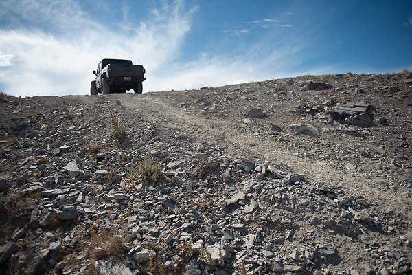 Scout-1554 Scout-1554