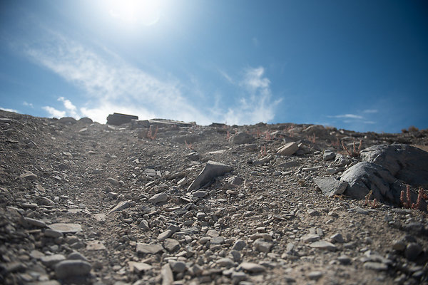 Scout-1557 Scout-1557