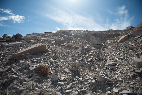 Scout-1560 Scout-1560