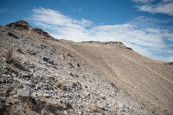 Scout-1549 Scout-1549