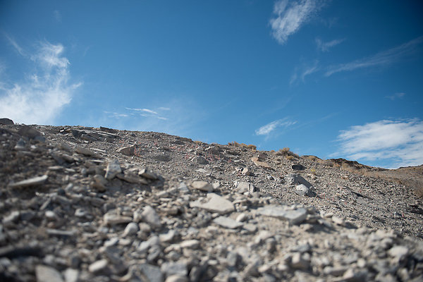 Scout-1556 Scout-1556