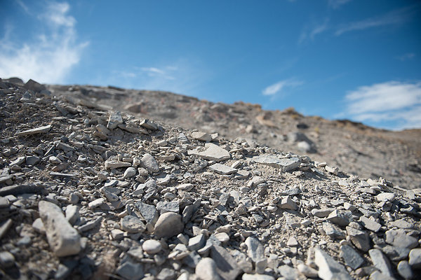 Scout-1555 Scout-1555