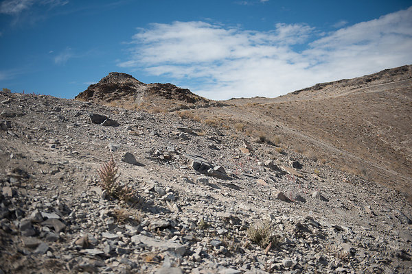 Scout-1547 Scout-1547