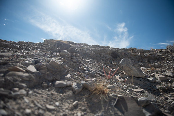 Scout-1563 Scout-1563