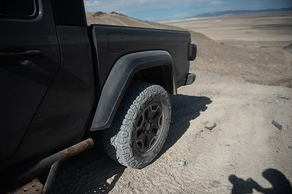 Scout-1586 Scout-1586