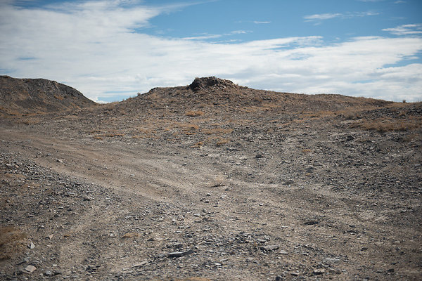 Scout-1579 Scout-1579