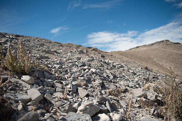 Scout-1552 Scout-1552