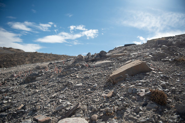 Scout-1559 Scout-1559