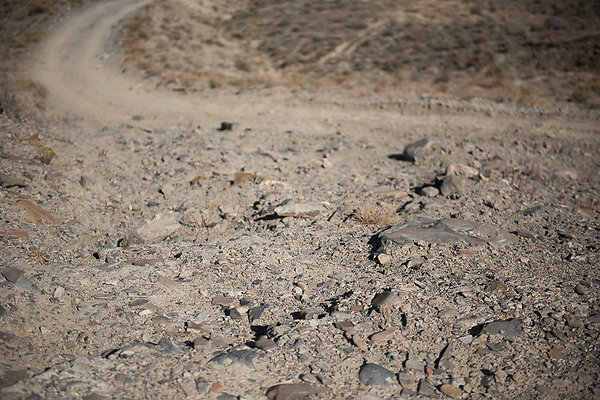 Scout-1568 Scout-1568