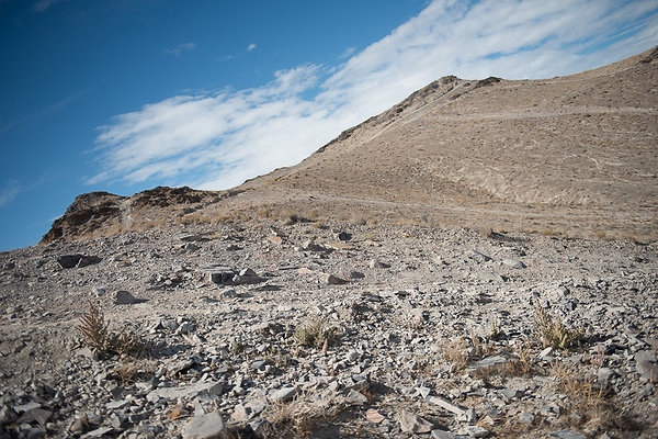 Scout-1550 Scout-1550