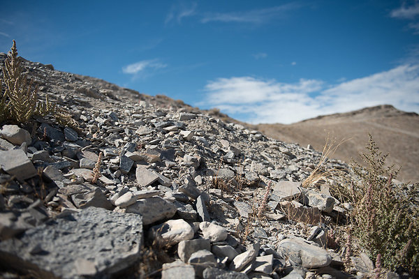 Scout-1553 Scout-1553