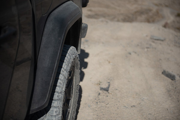 Scout-1584 Scout-1584