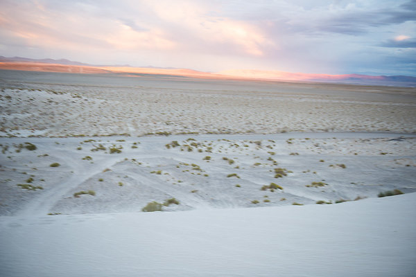 Scout-2017 Scout-2017