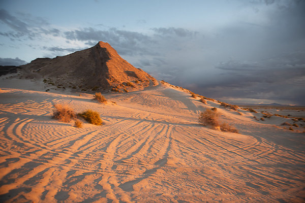 Scout-2005 Scout-2005