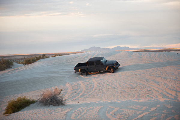 Scout-2008 Scout-2008