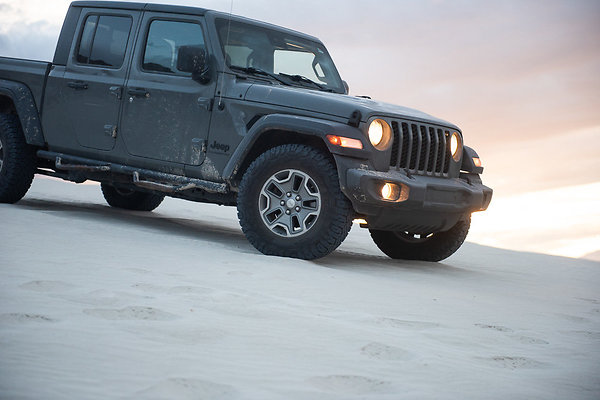 Scout-2021 Scout-2021