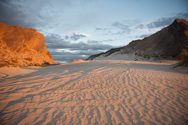 Scout-2006 Scout-2006