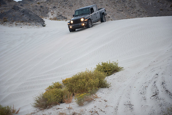 Scout-2050 Scout-2050