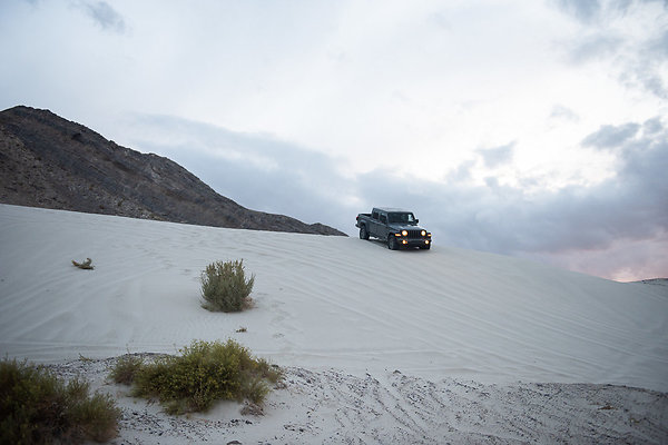 Scout-2039 Scout-2039