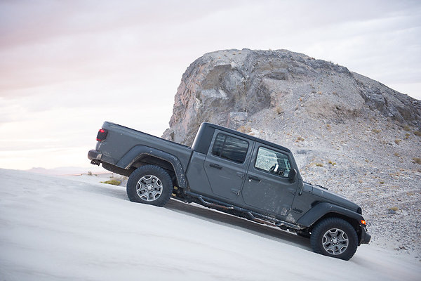 Scout-2031 Scout-2031