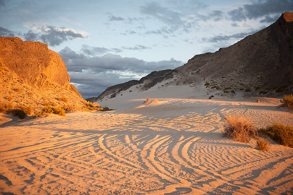 Scout-2003 Scout-2003