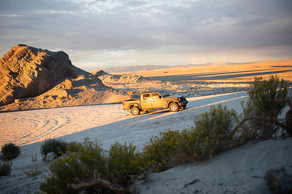 Scout-2001 Scout-2001