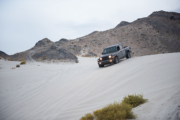 Scout-2046 Scout-2046