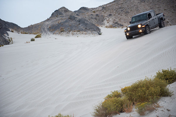 Scout-2051 Scout-2051