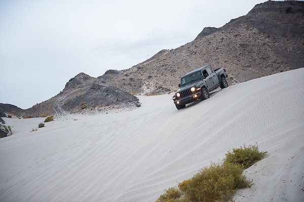 Scout-2047 Scout-2047