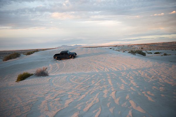 Scout-2009 Scout-2009