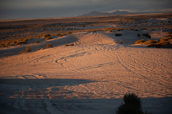 Scout-2002 Scout-2002