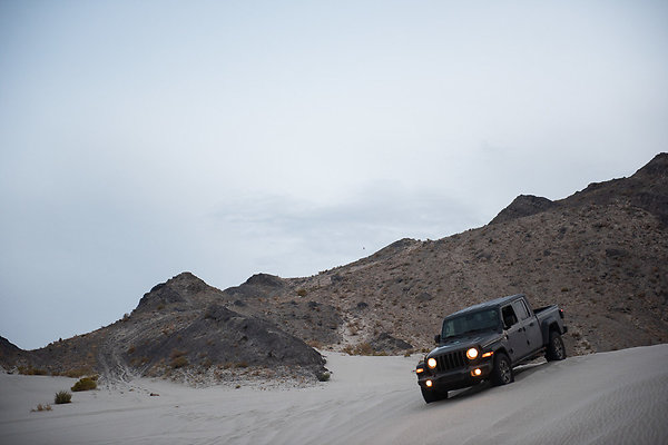 Scout-2049 Scout-2049