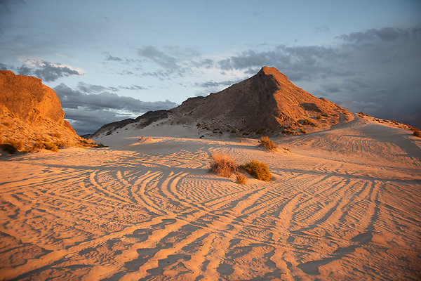 Scout-2004 Scout-2004