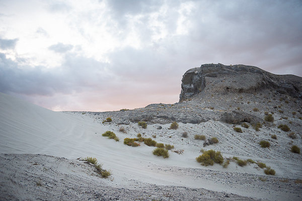 Scout-2040 Scout-2040