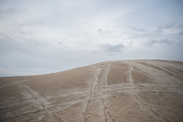 Scout-1911 Scout-1911