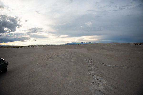 Scout-1919 Scout-1919